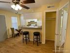 Flat For Rent In Austin, Texas