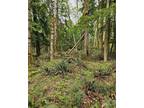 Plot For Sale In Carbonado, Washington