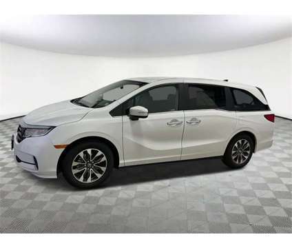 2024 Honda Odyssey EX-L is a Silver, White 2024 Honda Odyssey EX Car for Sale in Saint Charles IL