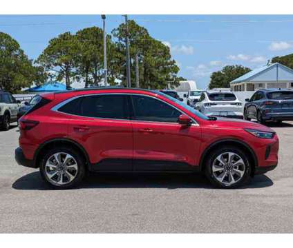 2024 Ford Escape Platinum is a Red 2024 Ford Escape Car for Sale in Sarasota FL