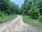 Plot For Sale In Thompsonville, Michigan