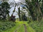 Plot For Rent In Pahoa, Hawaii