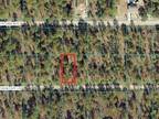 Plot For Sale In Dunnellon, Florida