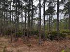 Plot For Sale In Panacea, Florida