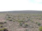 Colorado Land for Sale 40 Acres, Costilla County