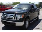 2010 Ford F-150 For Sale