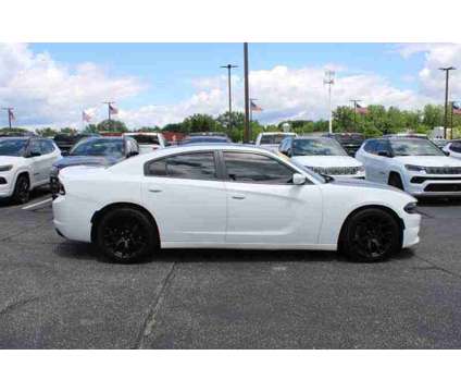 2016UsedDodgeUsedChargerUsed4dr Sdn RWD is a White 2016 Dodge Charger R/T Sedan in Greenwood IN