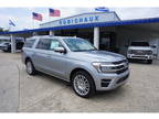 2024 Ford Expedition Silver, new