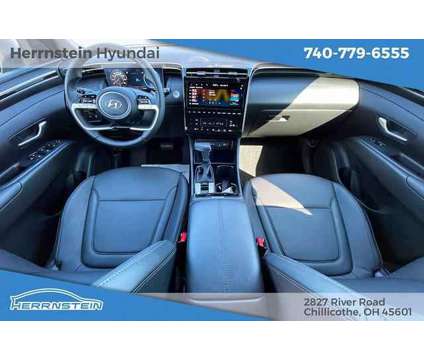 2024 Hyundai Santa Cruz XRT is a Blue 2024 Truck in Chillicothe OH