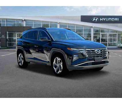 2024 Hyundai Tucson SEL is a Black 2024 Hyundai Tucson SUV in Clermont FL