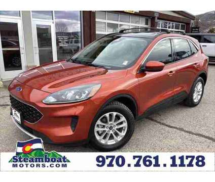 2020 Ford Escape SE is a Orange 2020 Ford Escape SE SUV in Steamboat Springs CO