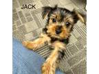 Jack