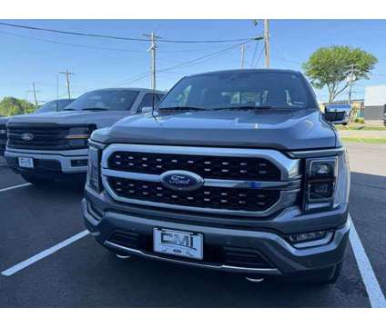 2023 Ford F-150 Platinum is a Grey 2023 Ford F-150 Platinum Truck in Russellville AR