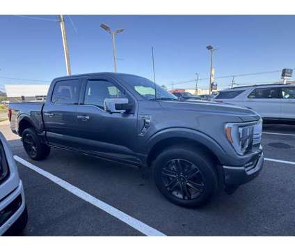 2023 Ford F-150 Platinum is a Grey 2023 Ford F-150 Platinum Truck in Russellville AR