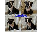 Landon