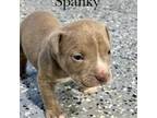 Spanky