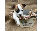 Buster