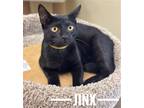 Adopt Jinx #brother-of-Binx a All Black Bombay / Mixed (short coat) cat in
