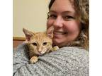 Experienced Pet Sitter in Bowling Green, Ohio Trustworthy and Affordable