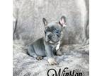 Winston