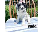 Vada