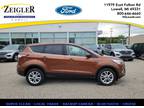 Used 2017 FORD Escape For Sale