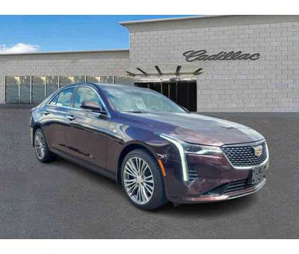 2021 Cadillac CT4 Premium Luxury is a Red 2021 Car for Sale in Trevose PA