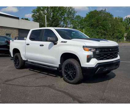 2024 Chevrolet Silverado 1500 Custom Trail Boss is a White 2024 Chevrolet Silverado 1500 Custom Car for Sale in Paw Paw MI