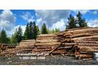 TIMBER WANTED- Top $ Pay, Logging Land Clearing Trees King Pierce Kitsap County