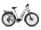Cyrusher Kuattro Electric Bicycle