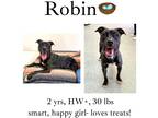 Adopt Robin a Mixed Breed (Medium) / Mixed dog in Albany, GA (39025707)
