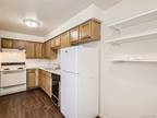 Condo For Sale In Denver, Colorado