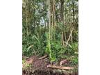 Plot For Sale In Pahoa, Hawaii