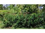 Plot For Sale In Pahoa, Hawaii