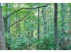 Plot For Sale In Smithville, Tennessee