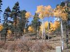 Plot For Sale In Angel Fire, New Mexico