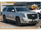 2018 Cadillac Escalade ESV Luxury RWD / LOADED / REAR DVD PLAYER - Dallas,TX