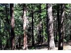 Plot For Rent In Cedarpines Park, California