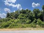 Plot For Sale In Summerfield, Florida