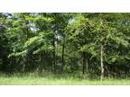 Plot For Sale In Leesburg, Texas