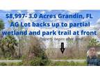 REDUCED! $8,500- 3.0 Acres Grandin, FL AG Zoned lot with wetlands at the back