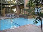 Condo For Rent In Austin, Texas