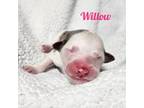 WillowReserved
