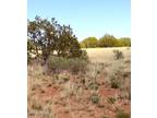 Plot For Sale In Snowflake, Arizona