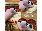 Kevin AKA Marshmellow