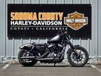 2019 Harley-Davidson SPORTSTER 883 IRON