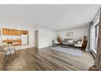 Condo For Sale In Chicago, Illinois