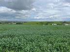 Plot For Sale In Lewistown, Montana