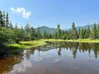 Plot For Sale In Trout Creek, Montana
