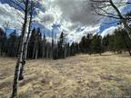 192 Miller Ln Lake, Florissant, CO 80816